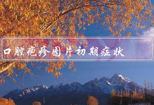口腔疱疹图片初期症状