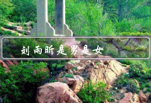 刘雨昕是男是女