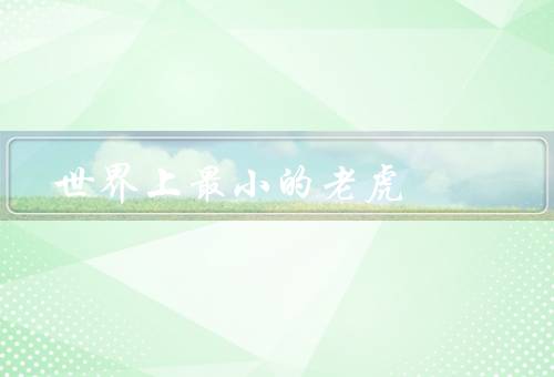 世界上最小的老虎