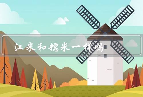 江米和糯米一样吗