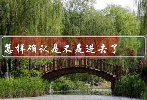 怎样确认是不是进去了