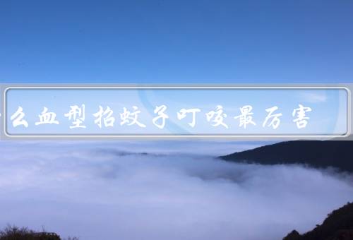 什么血型招蚊子叮咬最厉害