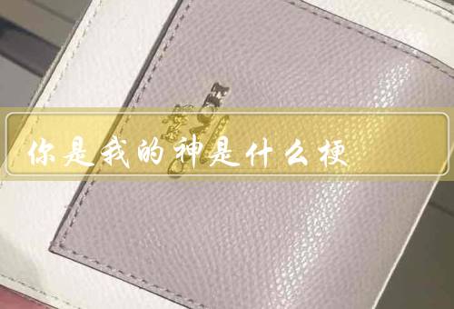 你是我的神是什么梗
