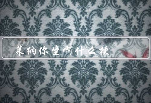 莱纳你坐啊什么梗