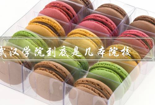 武汉学院到底是几本院校