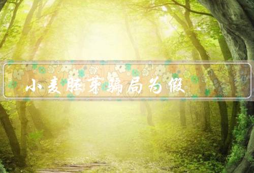 小麦胚芽骗局为假