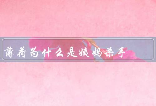 薄荷为什么是姨妈杀手