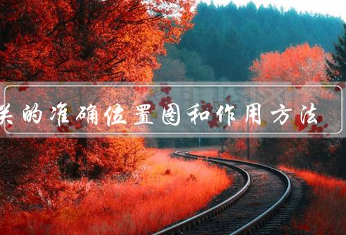 内关的准确位置图和作用方法