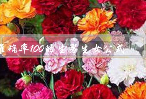 准确率100的生男生女公式
