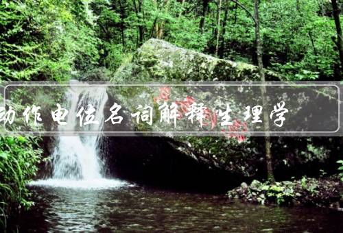 动作电位名词解释生理学