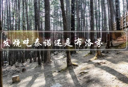 发烧吃泰诺还是布洛芬