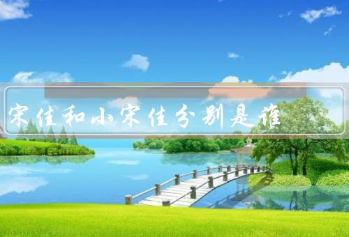 宋佳和小宋佳分别是谁