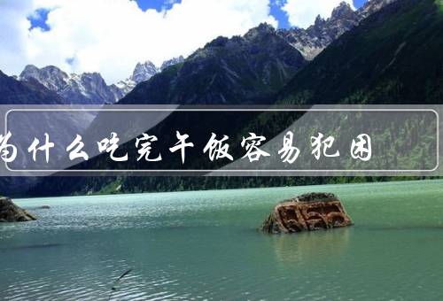 为什么吃完午饭容易犯困