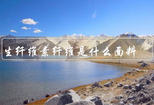 再生纤维素纤维是什么面料