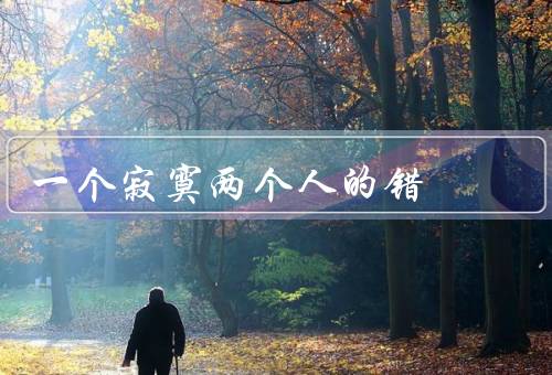 一个寂寞两个人的错