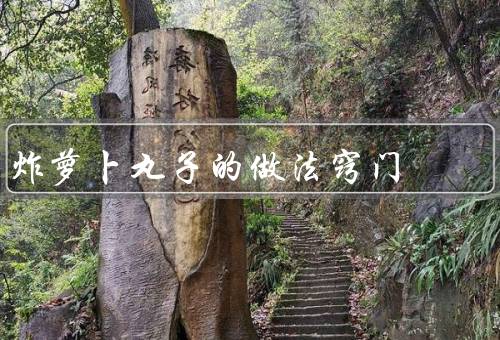 炸萝卜丸子的做法窍门