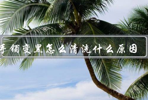 银手镯变黑怎么清洗什么原因