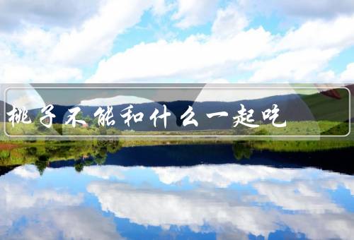 桃子不能和什么一起吃