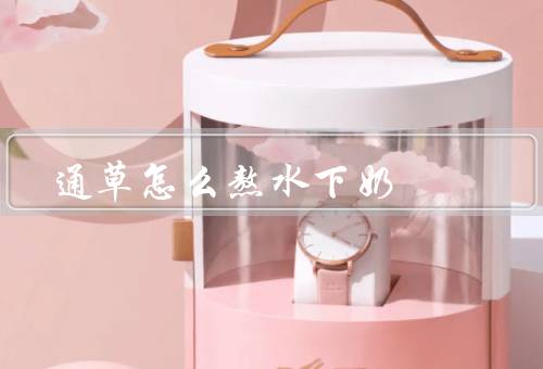 通草怎么熬水下奶