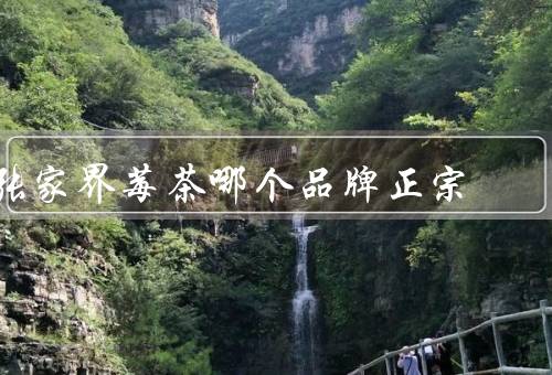 张家界莓茶哪个品牌正宗
