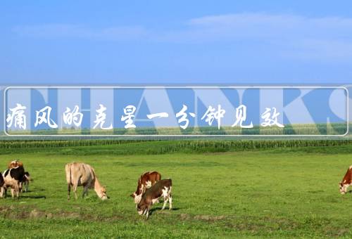 痛风的克星一分钟见效