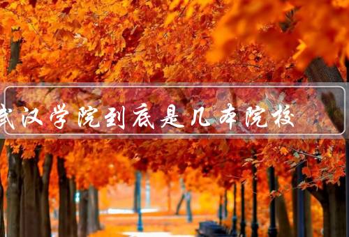 武汉学院到底是几本院校