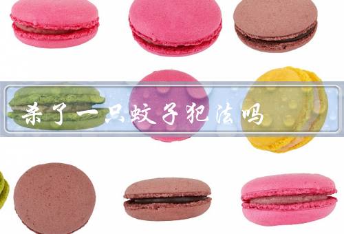 杀了一只蚊子犯法吗