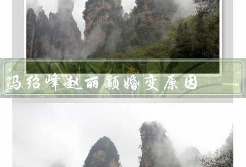 冯绍峰赵丽颖婚变原因，为什么没办婚礼却在一起