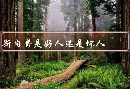 斯内普是好人还是坏人