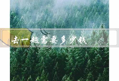去一趟需要多少钱