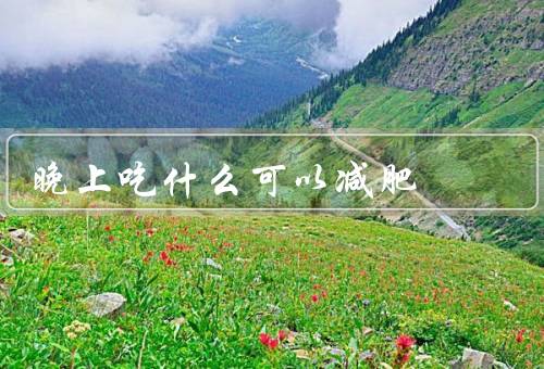 晚上吃什么可以减肥