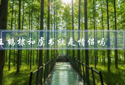 王鹤棣和虞书欣是情侣吗