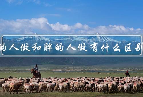 跟瘦的人做和胖的人做有什么区别