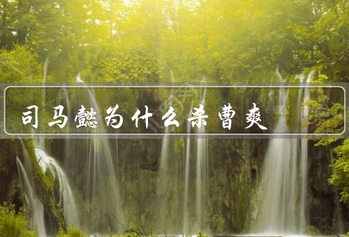 司马懿为什么杀曹爽