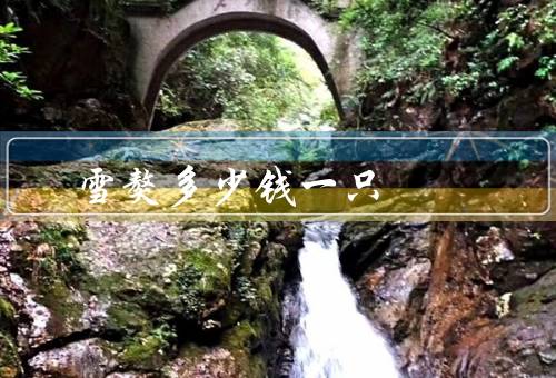 雪獒多少钱一只