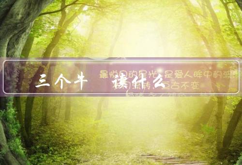 三个牛犇读什么