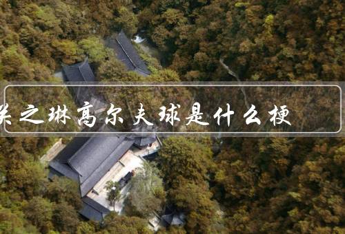 关之琳高尔夫球是什么梗