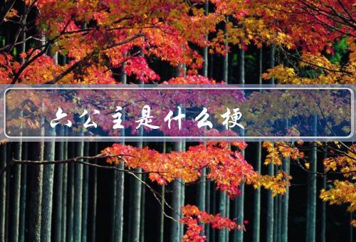 六公主是什么梗