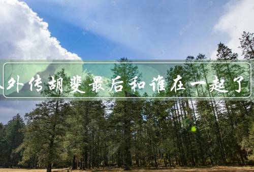 飞狐外传胡斐最后和谁在一起了