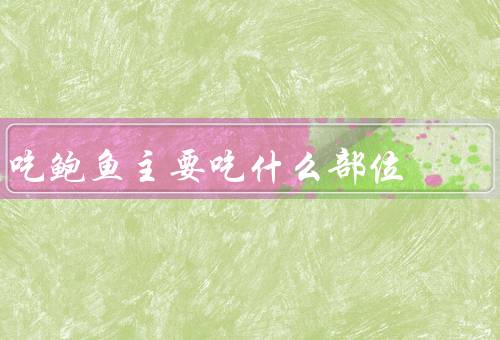 吃鲍鱼主要吃什么部位