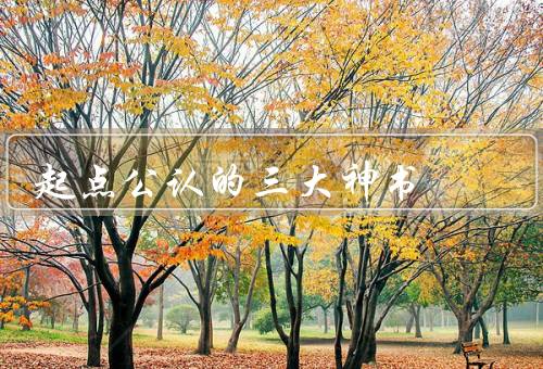 起点公认的三大神书