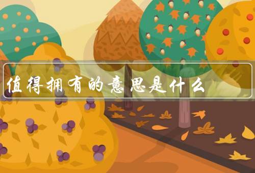 值得拥有的意思是什么