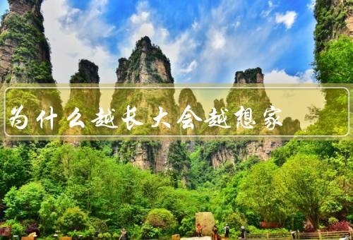 为什么越长大会越想家
