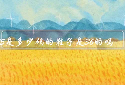 235是多少码的鞋子是36的吗