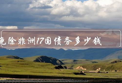免除非洲17国债务多少钱