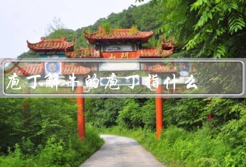 庖丁解牛的庖丁指什么