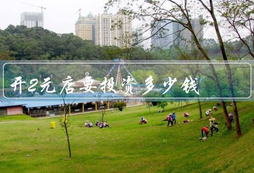 开2元店要投资多少钱，至少要投资19000至24000元