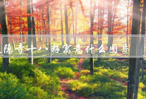 灵隐寺十八籽寓意什么图片