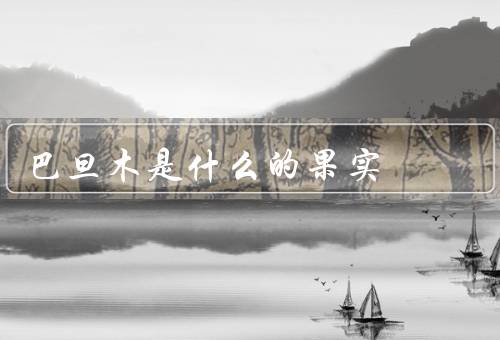 巴旦木是什么的果实？扁桃（是扁桃的内核）
