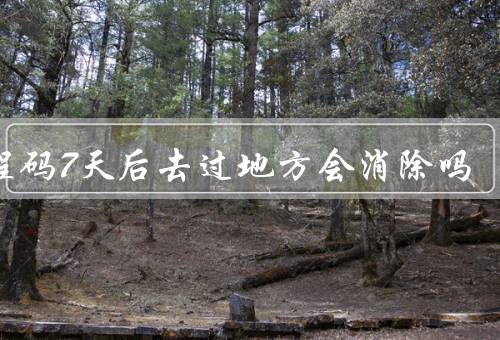 行程码7天后去过地方会消除吗